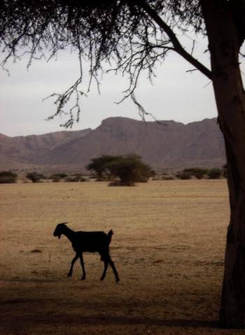Виды на окраине города Таманрассет. Фото: STR /AFP /Getty Images