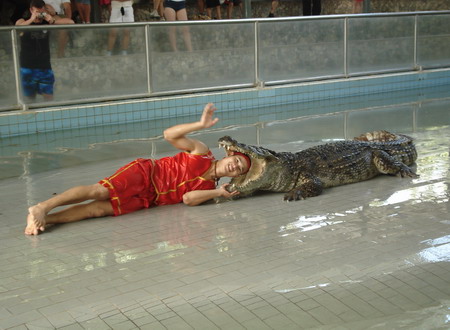 Представление на крокодиловой ферме в Паттайе. Повторить такое вам не разрешат, а вот посидеть на крокодиле – запросто. Фото: Александр Карпов