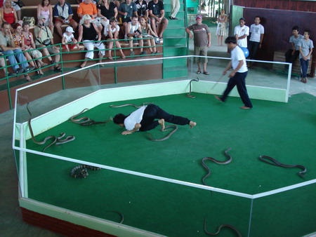 Представление на змеиной ферме, после которого все желающие могут попробовать блюда из кобры: стейк, суп …. Здесь же можно было приобрести средства народной  медицины, изготовленные из змей. Фото: Алексей Карпов