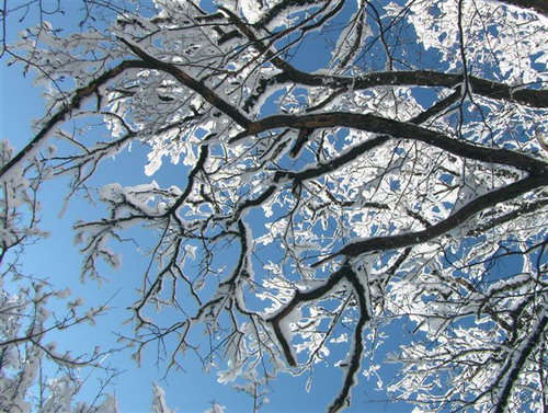 Зимний Коктебель. Фото: Сергей Скорик