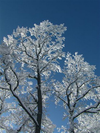 Зимний Коктебель. Фото: Сергей Скорик