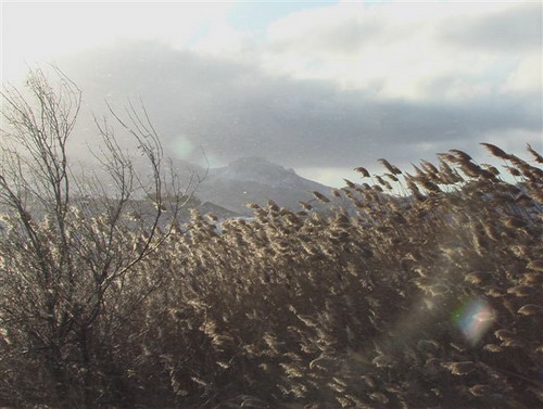 Зимний Коктебель. Фото: Сергей Скорик