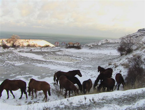 Зимний Коктебель. Фото: Сергей Скорик