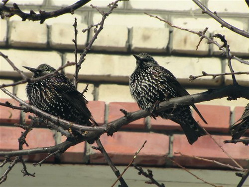 Зимний Коктебель. Фото: Сергей Скорик