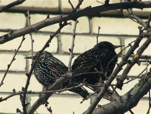 Зимний Коктебель. Фото: Сергей Скорик