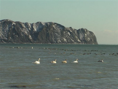 Зимний Коктебель. Фото: Сергей Скорик