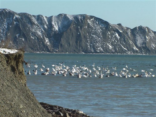 Зимний Коктебель. Фото: Сергей Скорик