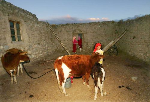 Загадочное племя Керия. Фото: China Photos/Getty Images