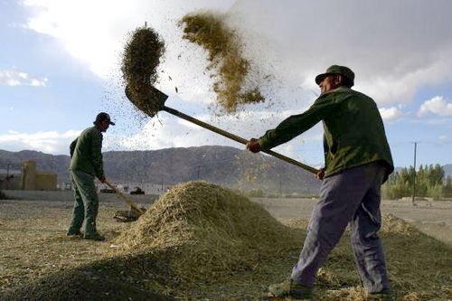 Загадочное племя Керия. Фото: China Photos/Getty Images