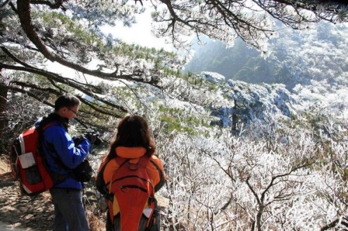 Горы Хуаншань («Жёлтые горы»). Фото: secretchina.com