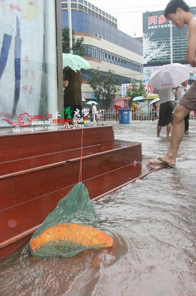 Ливни в провинции Хубэй вызвали сильные наводнения. Фото с epochtimes.com