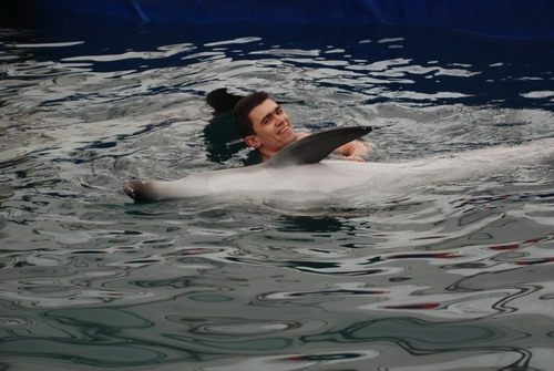 Дельфины Степа и Катя. Фото: Юлия Блохина/Великая Эпоха