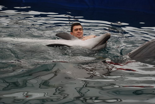 Дельфины Степа и Катя. Фото: Юлия Блохина/Великая Эпоха