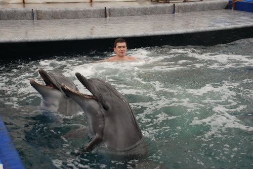 Дельфины Степа и Катя. Фото: Юлия Блохина/Великая Эпоха