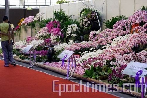 Выставка орхидей в Тайване. Фото: Великая Эпоха