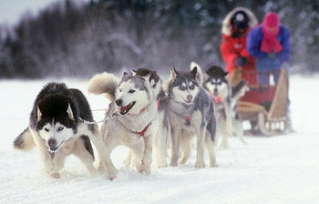 Мы поедем, мы помчимся… Мы поедем, мы помчимся…