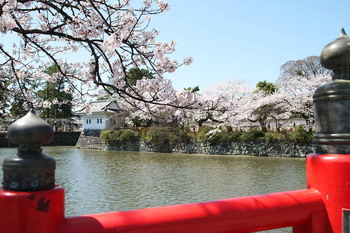 Фото: Koichi Kamoshida/Getty Images