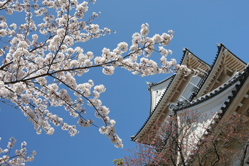 Фото: Koichi Kamoshida/Getty Images