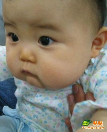 Малыши исследуют мир. Фото с secretchina.com