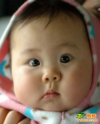 Малыши исследуют мир. Фото с secretchina.com