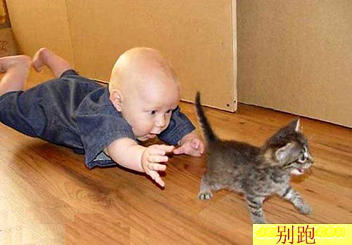 Малыши исследуют мир. Фото с secretchina.com
