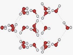 Фото: podrobnosti.ua