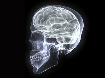 Изображение с сайта cs4fn.org Изображение с сайта cs4fn.org