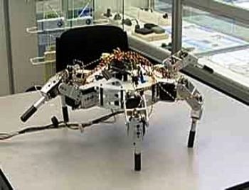 Кадр телеканала Россия