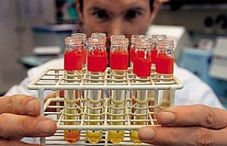 Фото предоставлено автором Фото предоставлено автором