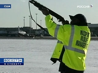 Кадр телеканала Россия