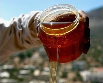 Фото: David Silverman/Getty Images