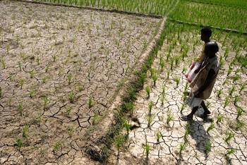 Под угрозой в результате бедствия оказались жизни и благосостояние 23 миллионов людей. Фото: STR/AFP/Getty Images