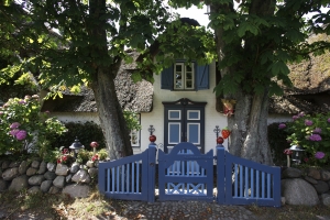 На острове Зильт дома утопают в кустах сирени и гортензий. Фото: Mahaux photo