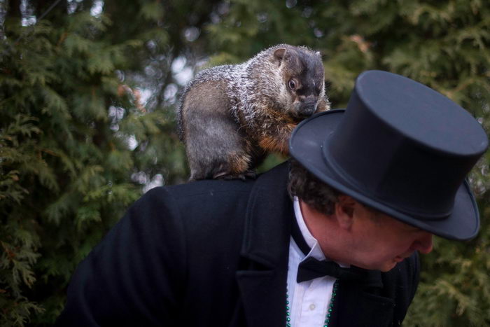 Фото: Jeff Swensen/Getty Images