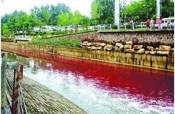 Красная вода в реке Цзиньчуань. Город Нанкин. Августа 2011 год. Фото: «Янцзы Ванбао» Красная вода в реке Цзиньчуань. Город Нанкин. Августа 2011 год. Фото: «Янцзы Ванбао»