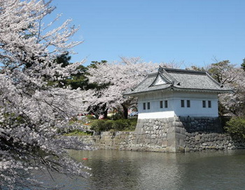 Поговорки и пословицы Японии. Фото: Koichi Kamoshida/Getty Images