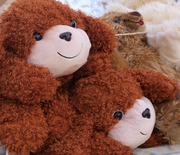 Чему меня научила жизнь. Фото: Хава ТОР/Великая Эпоха Чему меня научила жизнь. Фото: Хава ТОР/Великая Эпоха