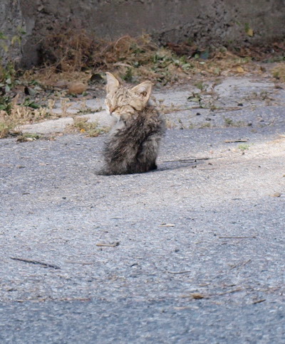 Чему меня научила жизнь. Фото: Хава ТОР/Великая Эпоха Чему меня научила жизнь. Фото: Хава ТОР/Великая Эпоха