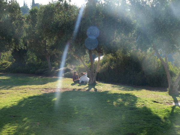 Чему меня научила жизнь. Фото: Хава ТОР/Великая Эпоха Чему меня научила жизнь. Фото: Хава ТОР/Великая Эпоха