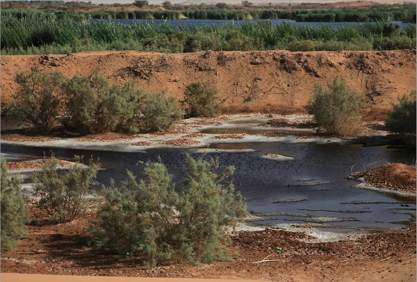 Соленое озеро в Эль Бахарая. Фото Yaira Yasmin/The Epoch Times