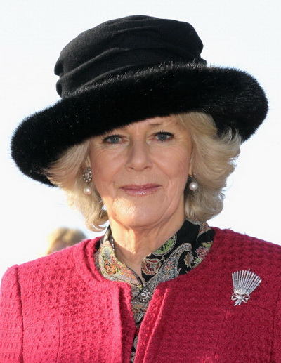 Герцогиня Корнуолльская Камилла лично вручила медали медперсоналу Королевского ВМФ Великобритании. Фото: Julian Simmonds - WPA Pool/Getty Images