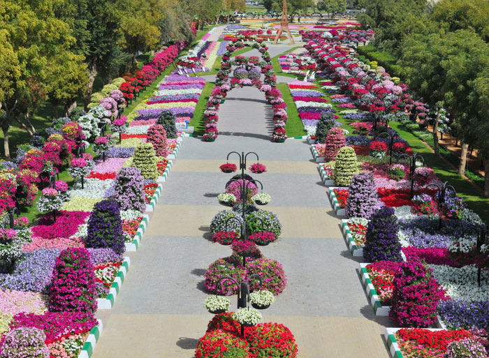 Парк в Эль-Айне: цветочные сады в пустыне. Фото: reinventingstars.blogspot.ru Парк в Эль-Айне: цветочные сады в пустыне. Фото: reinventingstars.blogspot.ru