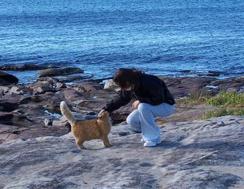 Кот и море. Фото из семейного альбома автора Кот и море. Фото из семейного альбома автора