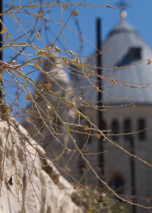 По крышам Старого города. Фото: Хава Тор/Великая Эпоха (The Epoch Times) По крышам Старого города. Фото: Хава Тор/Великая Эпоха (The Epoch Times)