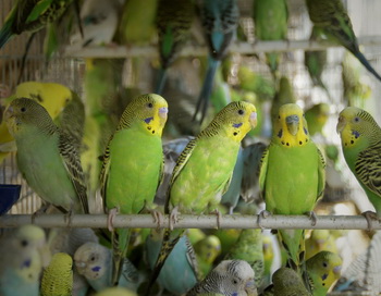 Фото: Getty Images