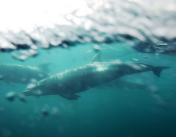 Фото: Getty Images