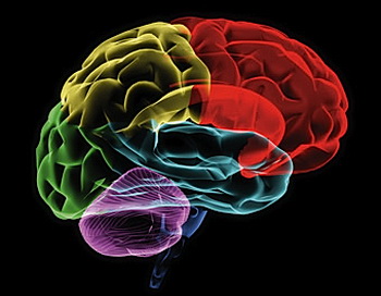 Когда людей просят визуализировать цвета под гипнозом, у некоторых из них происходят значительные изменения в областях мозга, отвечающих за визуальное восприятие. Фото с сайта theepochtimes.com