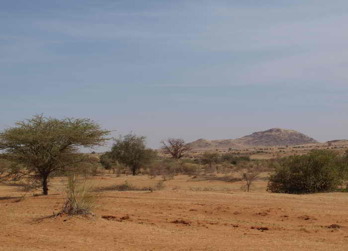 Фото: SIMON MARTELLI/AFP/GettyImages Фото: SIMON MARTELLI/AFP/GettyImages