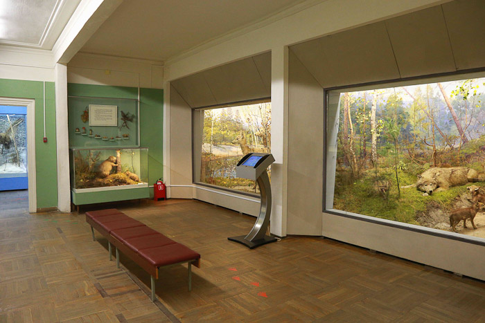 Один из залов музея. В центре установлен сенсорный монитор, через  который  можно послушать звуки, издаваемые конкретным животным. Фото: Сергей Лучезарный/Великая Эпоха (The Epoch Times)