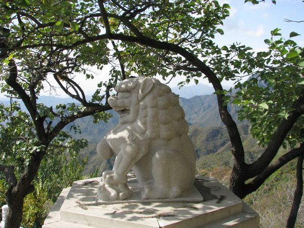 Лев на смотровой площадке. Фото: Ольга Судникович/Великая Эпоха (The Epoch Times) 